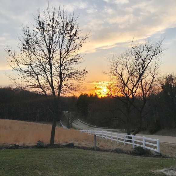 Meet your Posher, Kelly - Picture 1 of 6